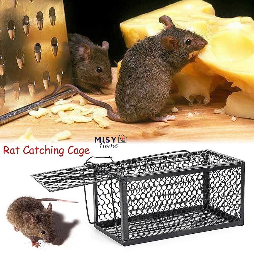 Bẫy chuột lồng thông minh MISY HOME sập siêu nhạy tự động bắt chuột cống chuột nhắt lớn nhỏ hiệu quả tái sử dụng bằng thép