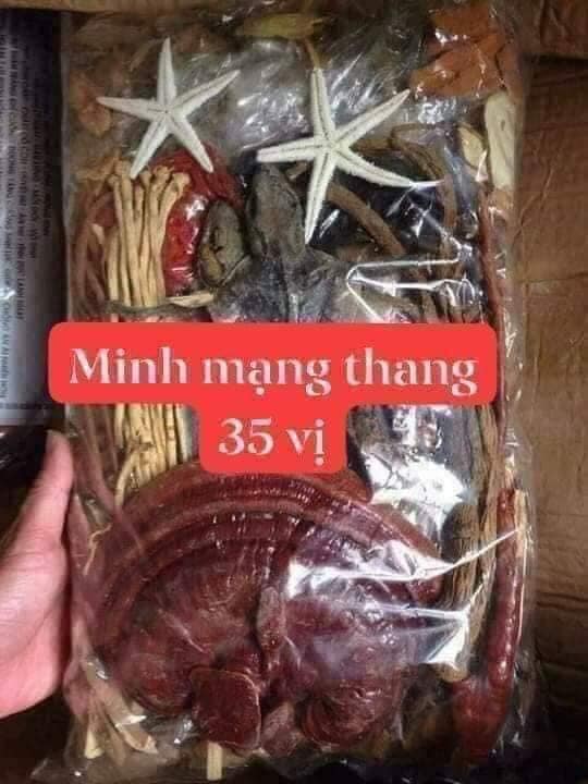 Cao minh mạng bổ thận tráng dương, minh mạng thang 35 vị 2 tắc kè