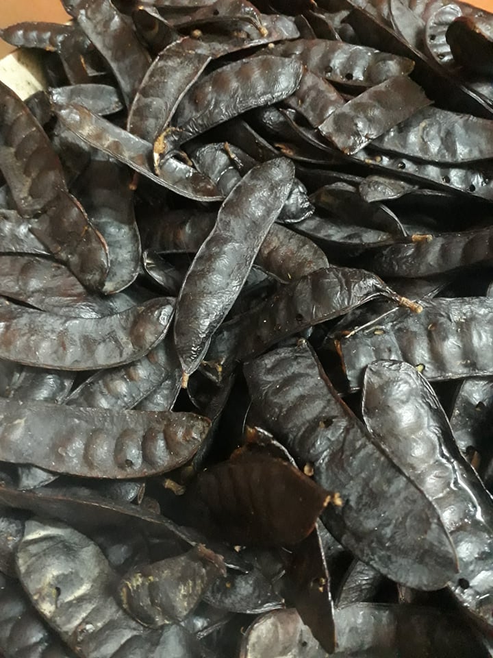 Bồ kết Rang Củi -0,5 KG