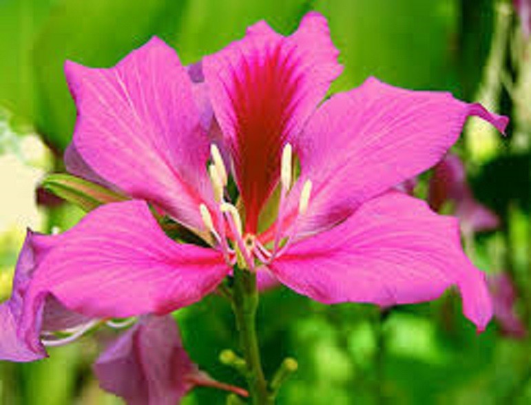 nMyT8AhQU8gTFaFU9Si9_simg_d0daf0_800x1200_max.jpg