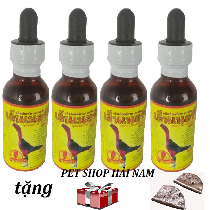 Vitamin Gà Ốm Trong tem vàng [ Combo 4 lọ x 60 ml] hỗ trợ gà ốm trong,mặt tái nhợt nhạt, không sung,càng nuôi càng ốm, gà sau khi đá về bị suy nhược.