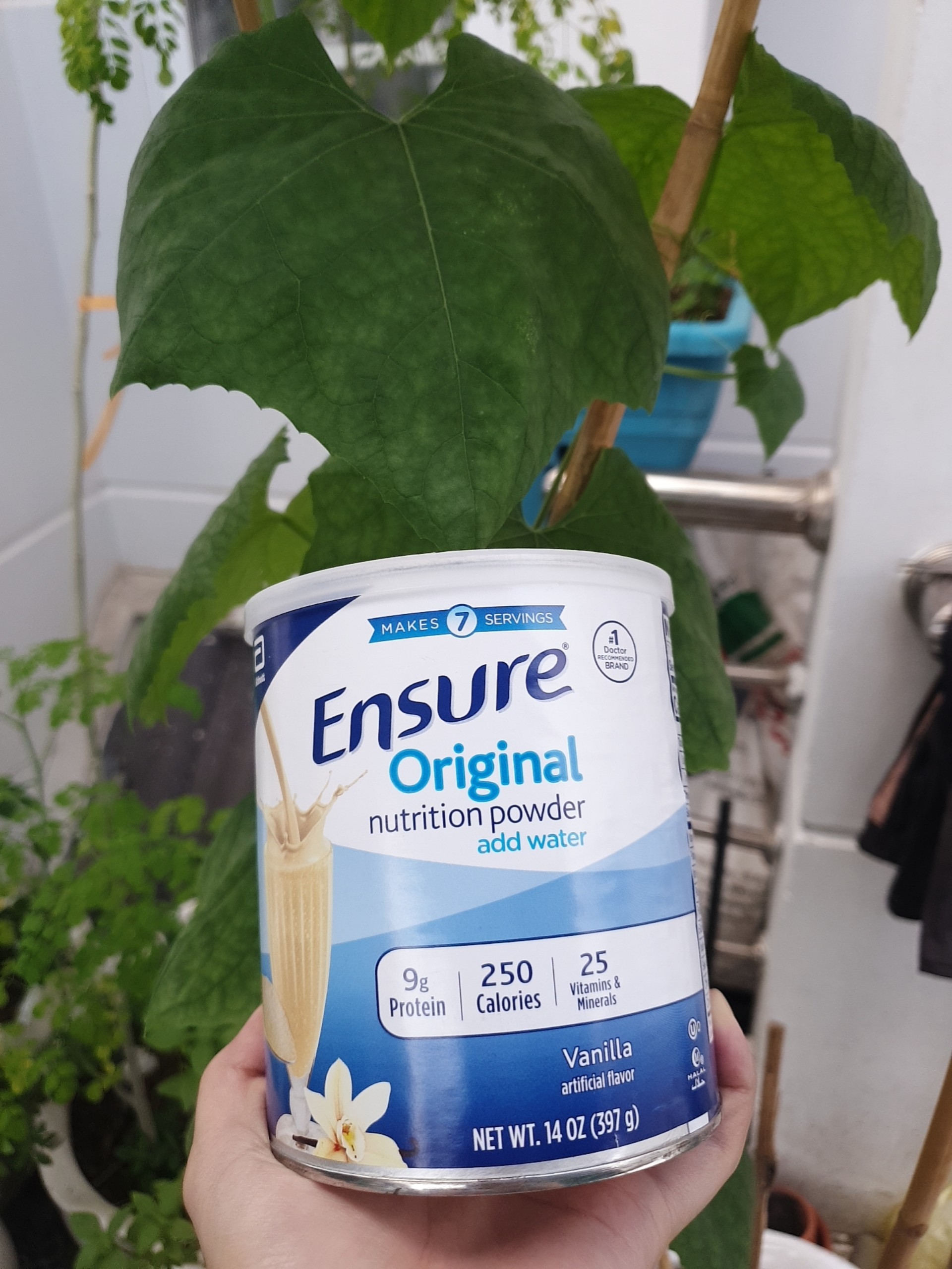 Sữa Ensure Mỹ