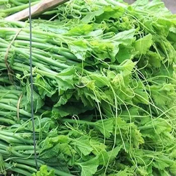 Hạt giống bí ngô siêu ngọn và siêu nụ gói 15 hạt