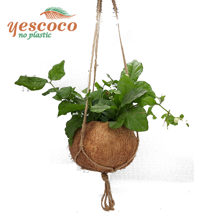 Chậu treo đơn xơ vàng dây đan [mua 10 tặng 1 chậu trồng lan]