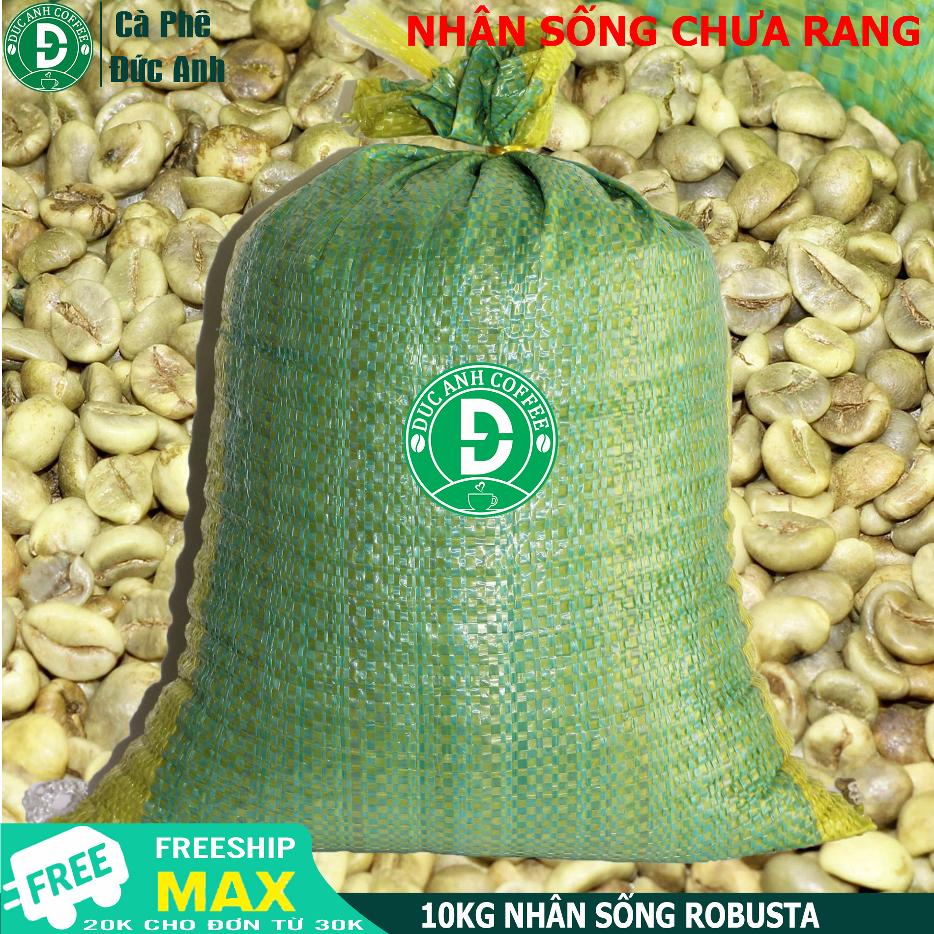 10KG cafe nhân sống chưa rang Robusta Buôn Ma Thuột - sàng lọc kỹ, trên sàn 18 chuẩn xuất khẩu - sản phẩm của DUC ANH COFEE CO.,LTD