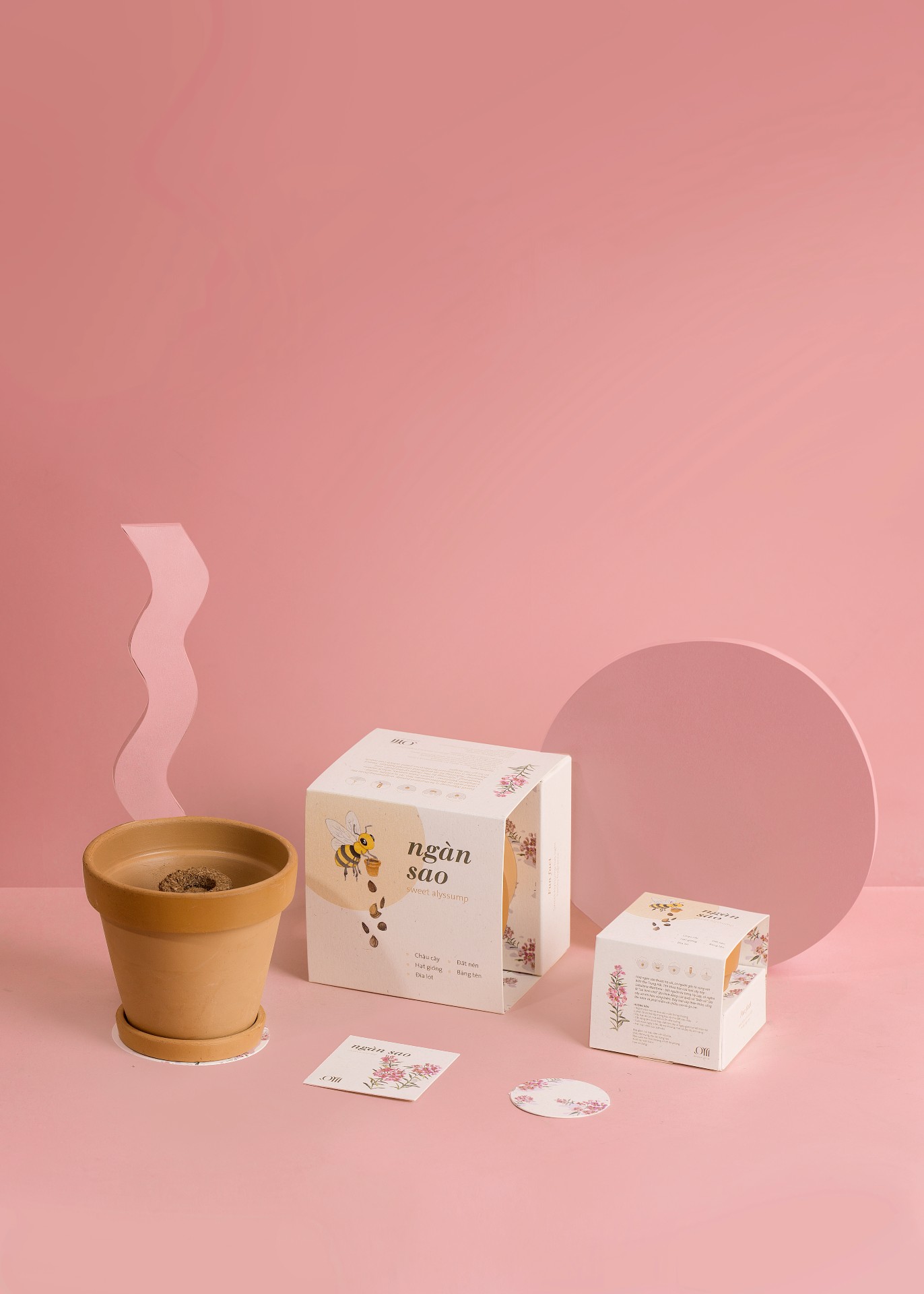 Kit trồng cây mini - ngàn sao