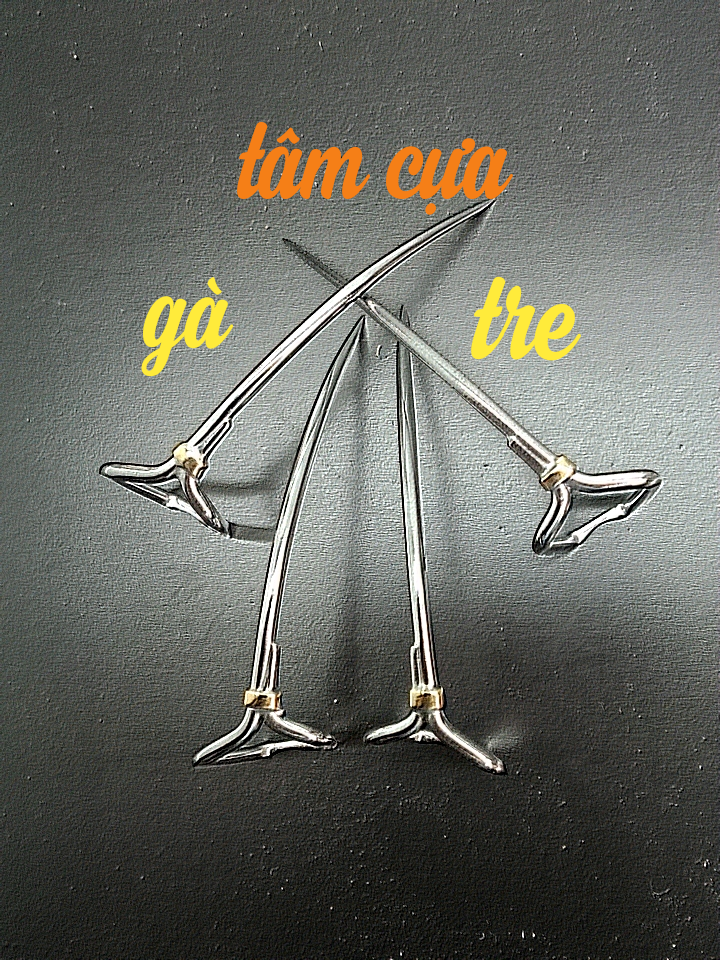 Cựa gà tre sezi 42 thép mỷ 19 hàn đế và bọc đồng Tâm cựa