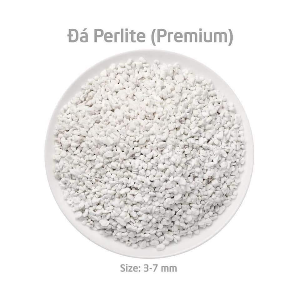 [HCM]Đá Trân Châu (Perlite) túi 400gr