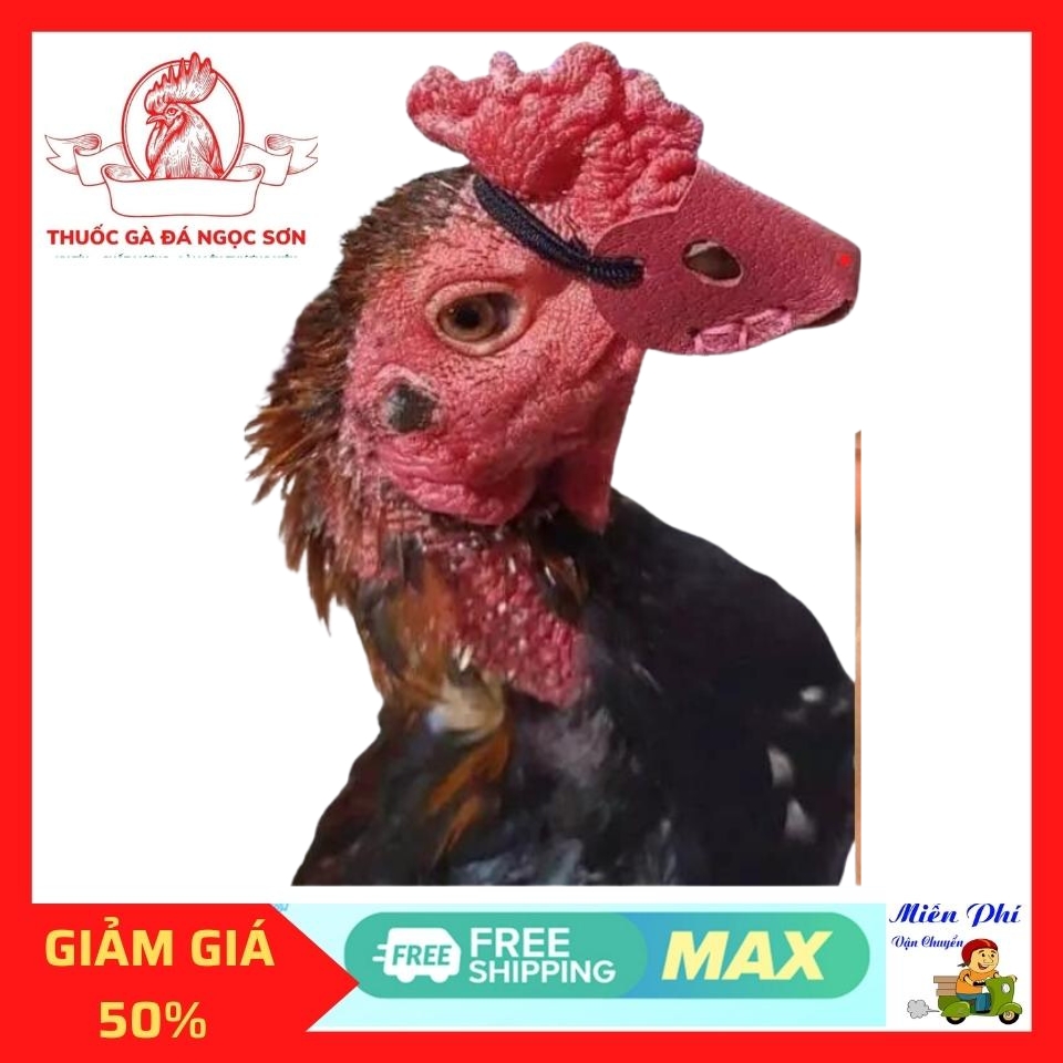 Bịt mỏ vần gà chọi 2 cái x5 thái lan bịt mỏ da dầy dặn khâu chắc chắn tiện lợi khi vần gà.