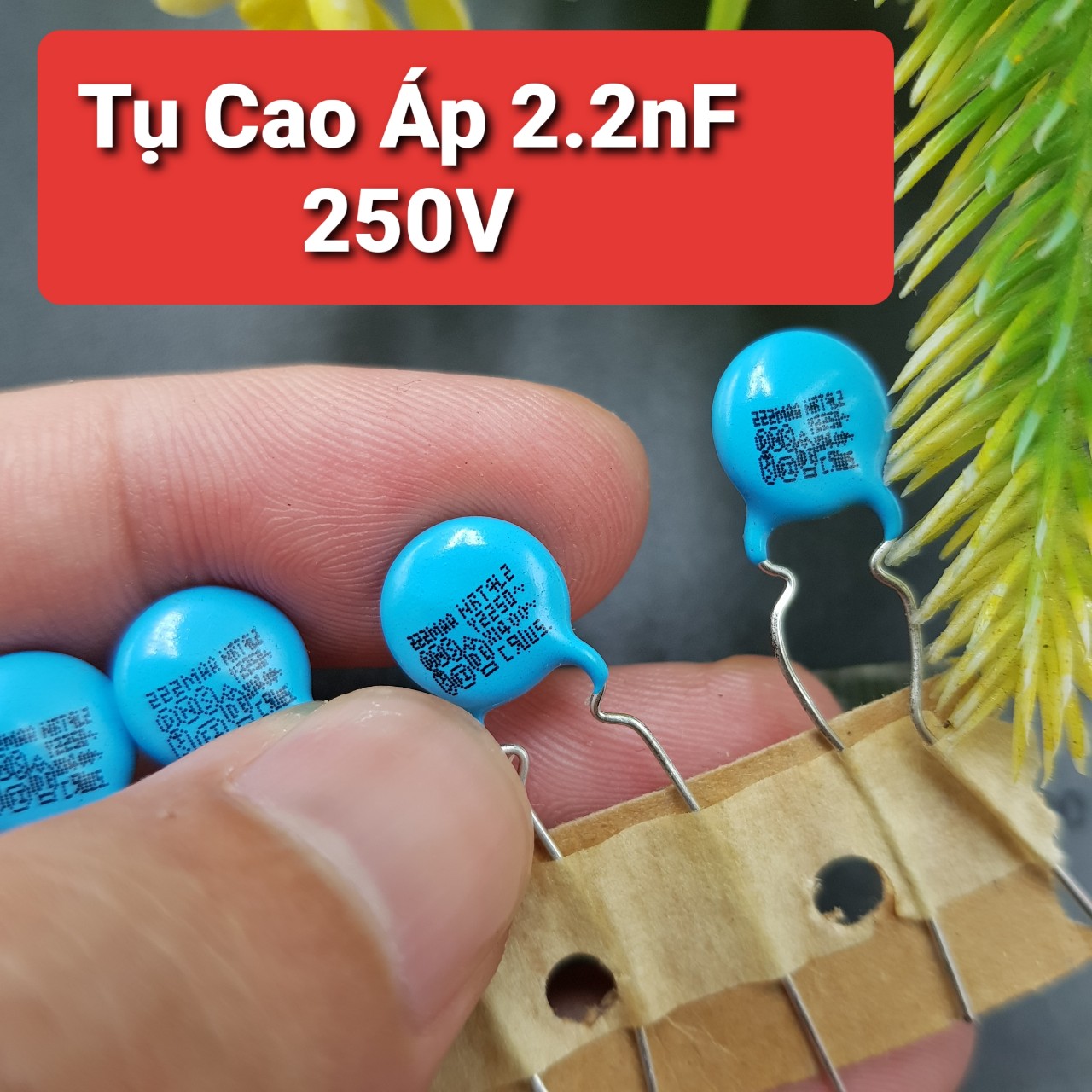 Combo 10 chiếc tụ cao áp 2.2nf 250v de0910e222m tụ kẹo 222m 250v