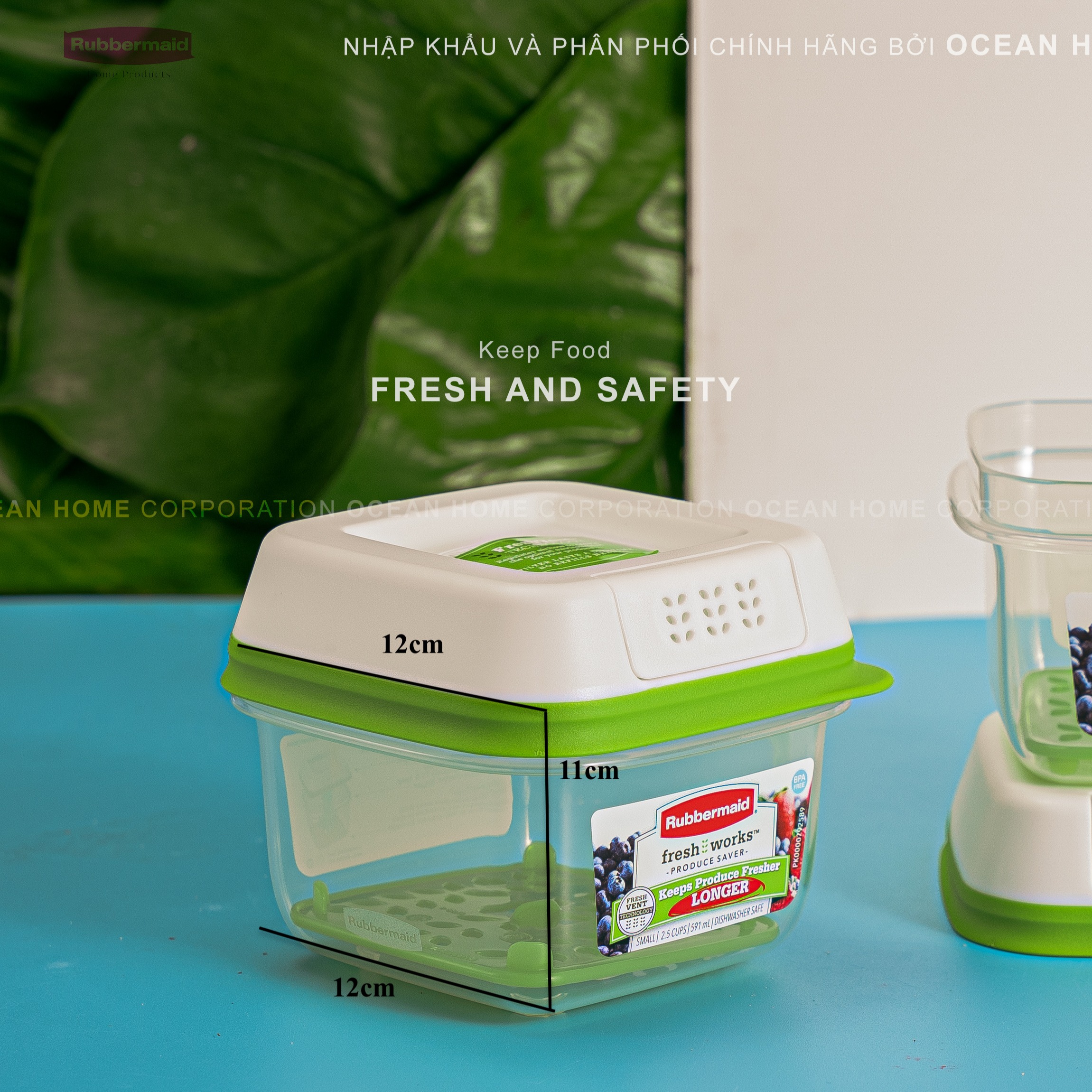 Hộp bảo quản rau củ quả RUBBERMAID có nắp màu xanh bằng nhựa nguyên sinh cao cấp loại 591ML - Chính Hãng từ Mỹ