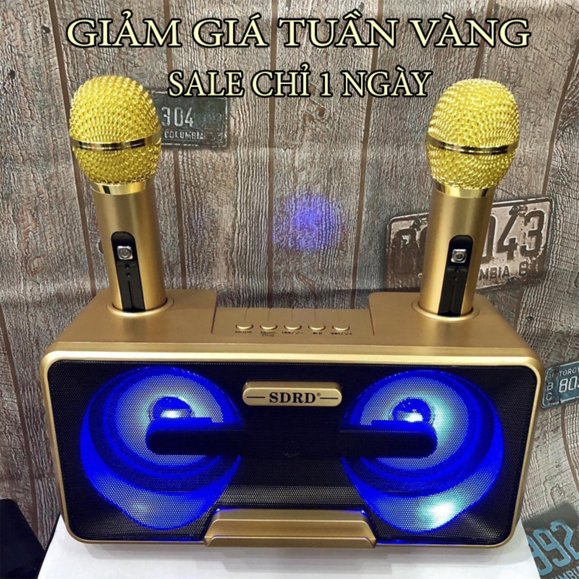 [LOA TỐT] Loa karaoke blutooth cầm tay, Loa dã ngoại du lịch pin khỏe, Top 6 loa công suất lớn thoả sức ca hát vui chơi ngoài trời - Loa karaoke mini SD 301 tặng kèm 2 micro không dây âm thanh hay nhỏ gọn kèm 2 míc có thể song ca