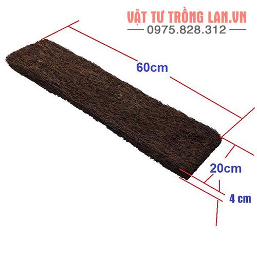 Bảng dớn hình chữ nhật trồng Lan kích thước 60x20x4 cm