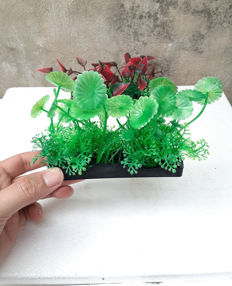 Cây nhựa trang trí bể cá: mẫu đế dài 12 cm