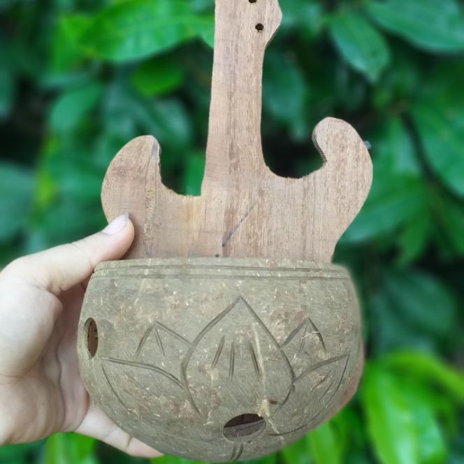 Bộ chậu hình cây đàn bằng gỗ căm xe ốp gáo dừa trồng lam