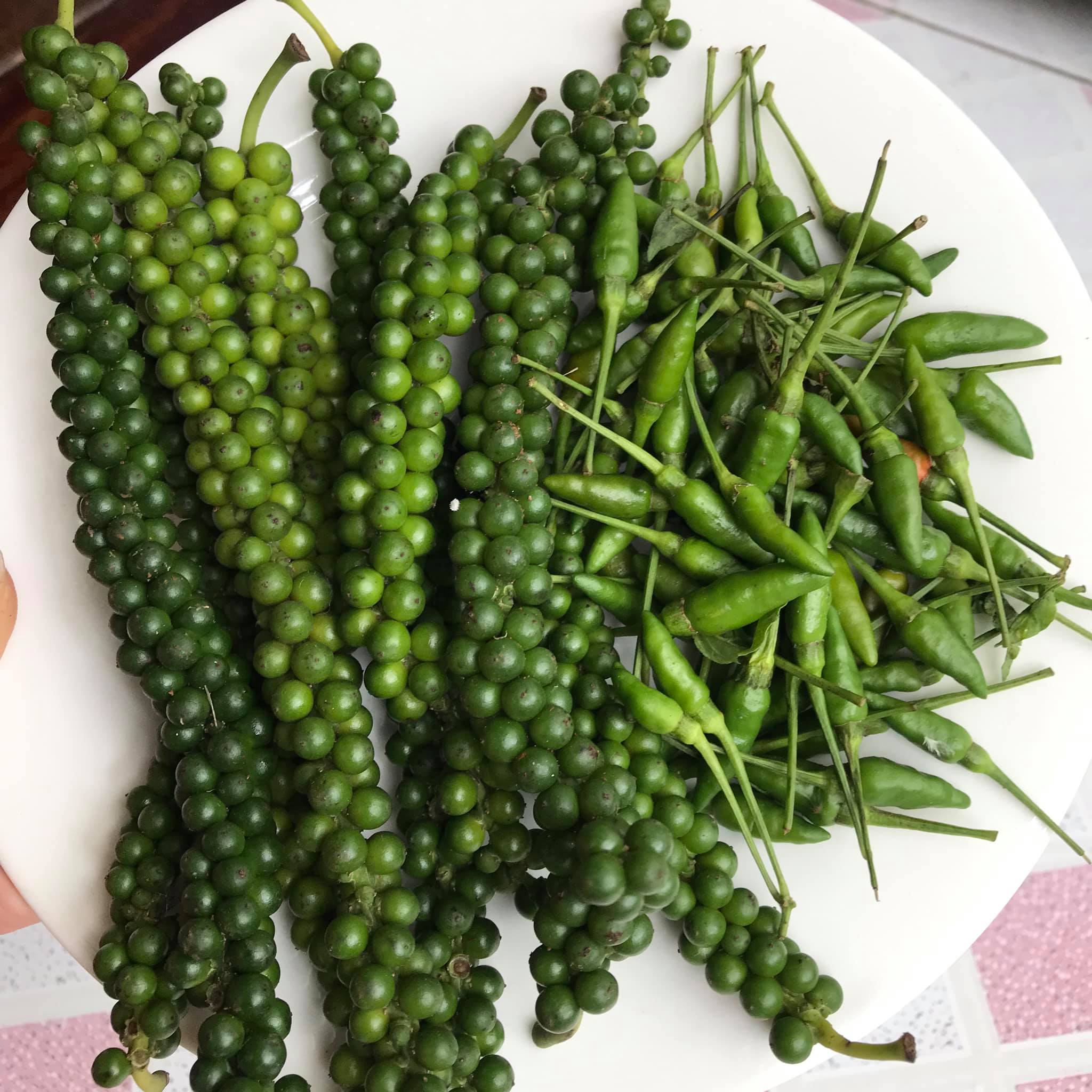 Tiêu xanh nguyên chùm- tiêu khô chọn hạt 500g - Nông Sản daklak