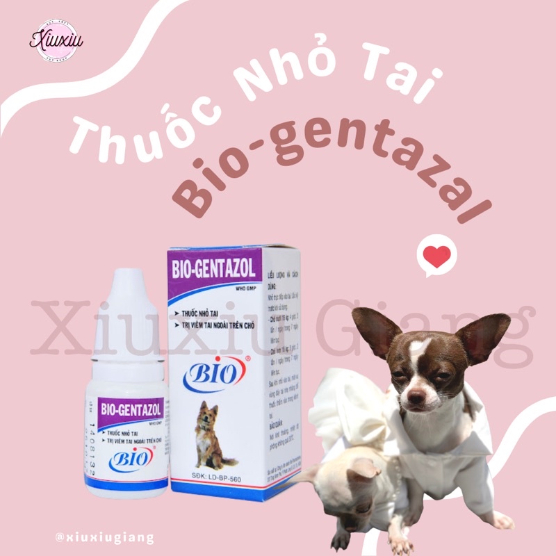 Nhỏ Tai Bio-Gentazal Cho Chó - Xiuxiu Giang