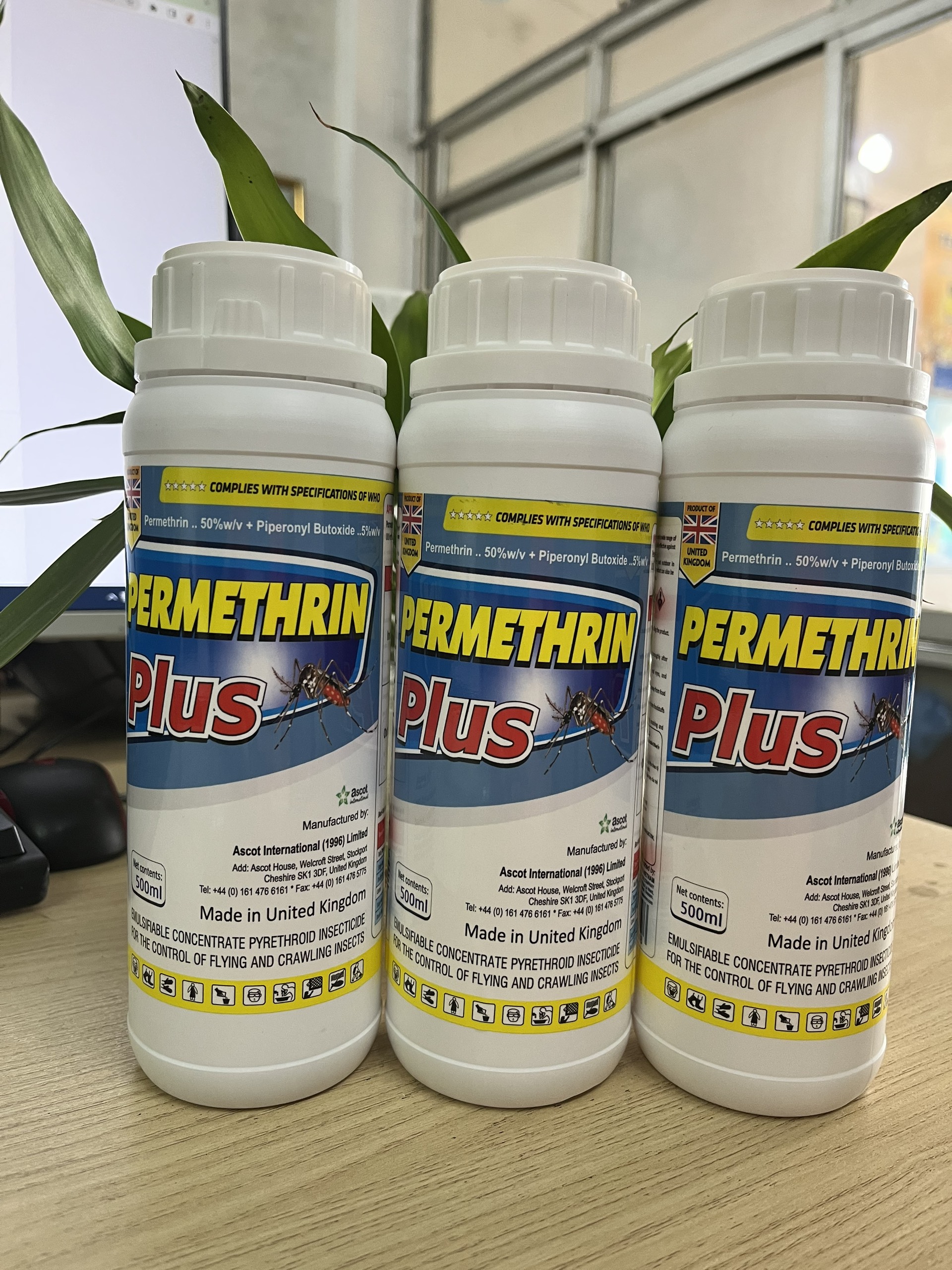 Thuốc diệt muỗi Anh Quốc Permethrin Plus 50EC chai 500ml