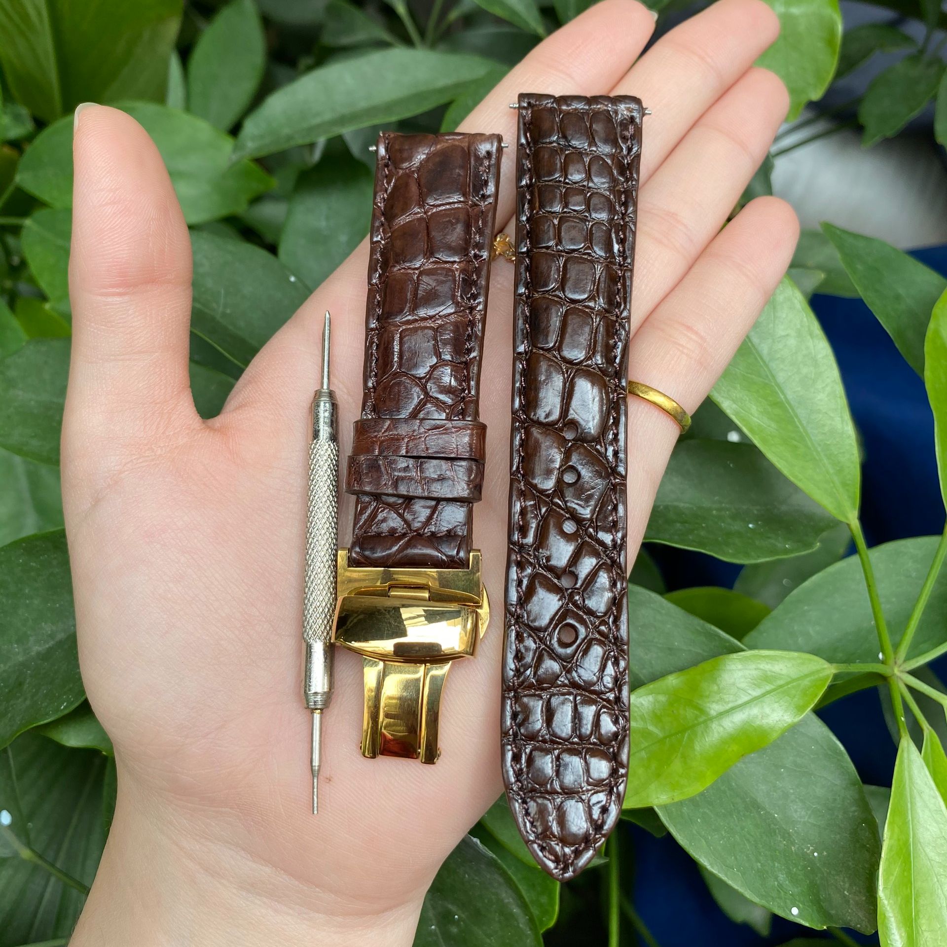 DH2.1.Dây đồng hồ Da Cá Sấu Nâu Hạt Phát hiện giả ĐỀN 10 LẦN, TẶNG 2 chốt và  cây tháo lắp đồng hồ