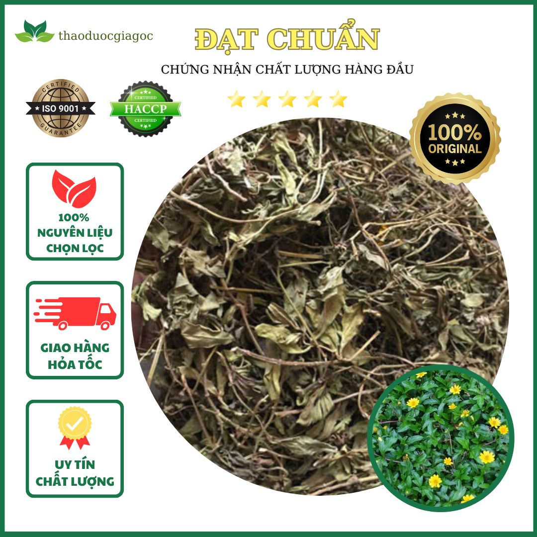 500g cây sài đất khô tắm cho bé rất tốt