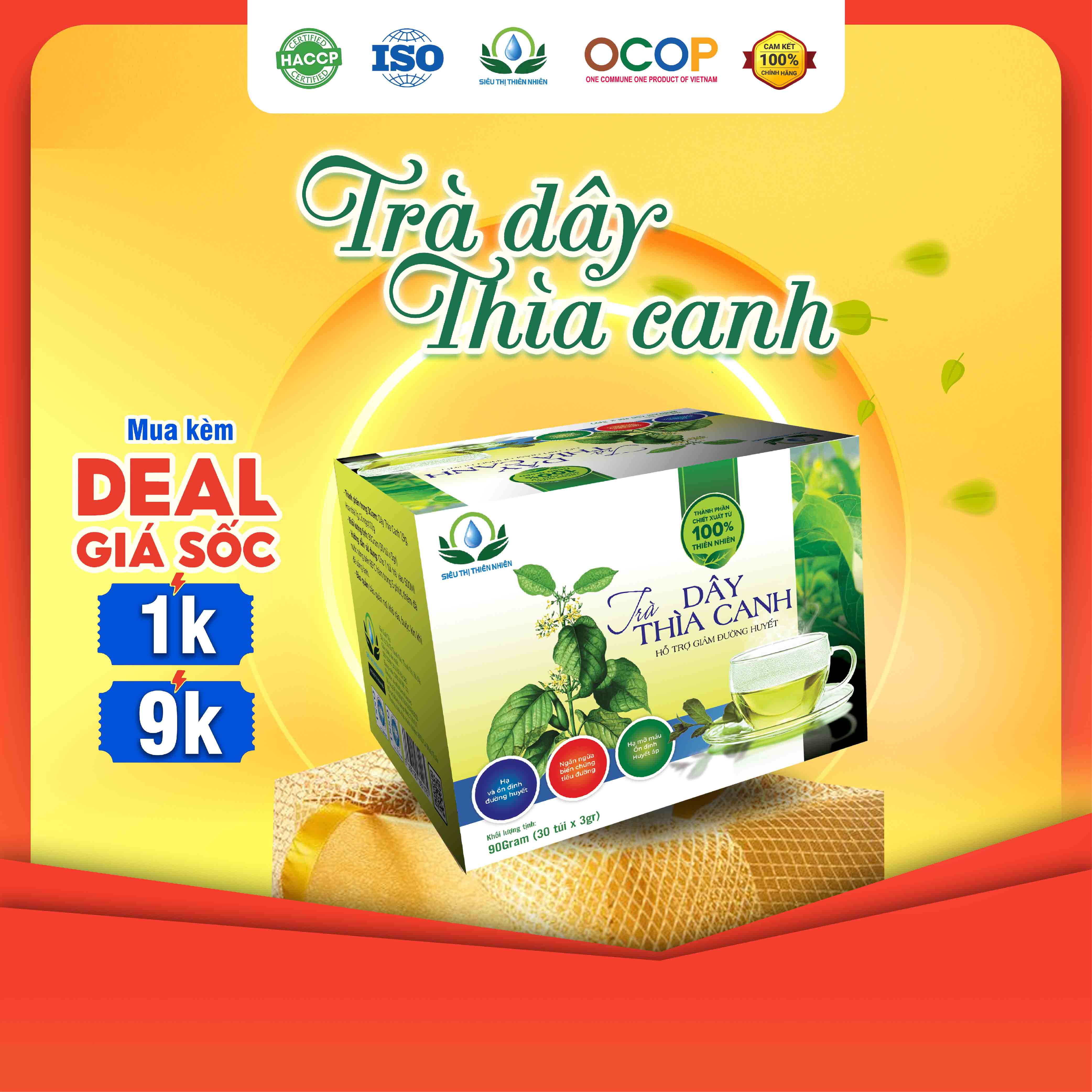 Trà dây thìa canh hộp 30 túi lọc x 3gram siêu thị thiên nhiên
