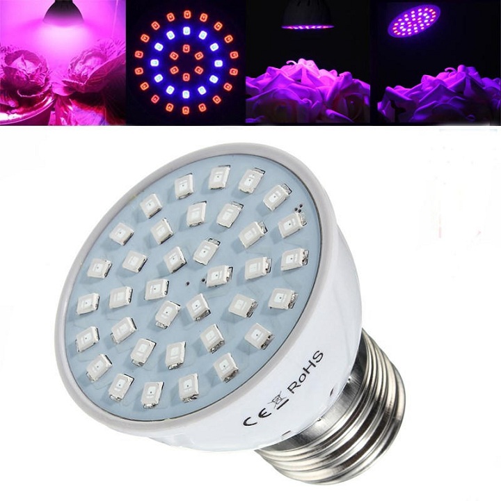Đèn trồng cây 60 led chuôi e27 2 màu