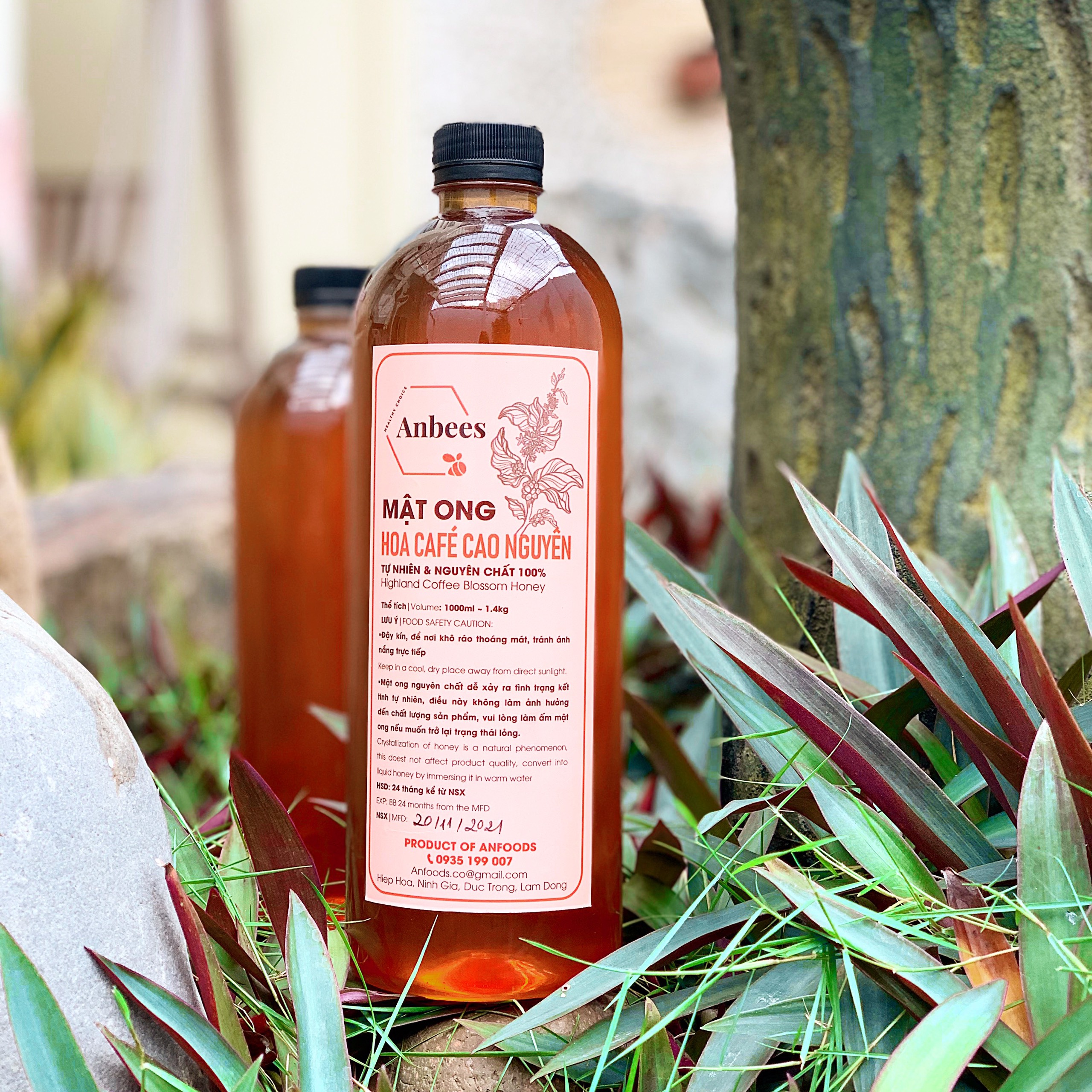 Mật ong nguyên chất hoa café, hoa rừng cao nguyên dùng để ngâm saffron, tam thất mật ong nghệ viên, đắp mặt. mật ong hoa cafe nguyên chất anbees
