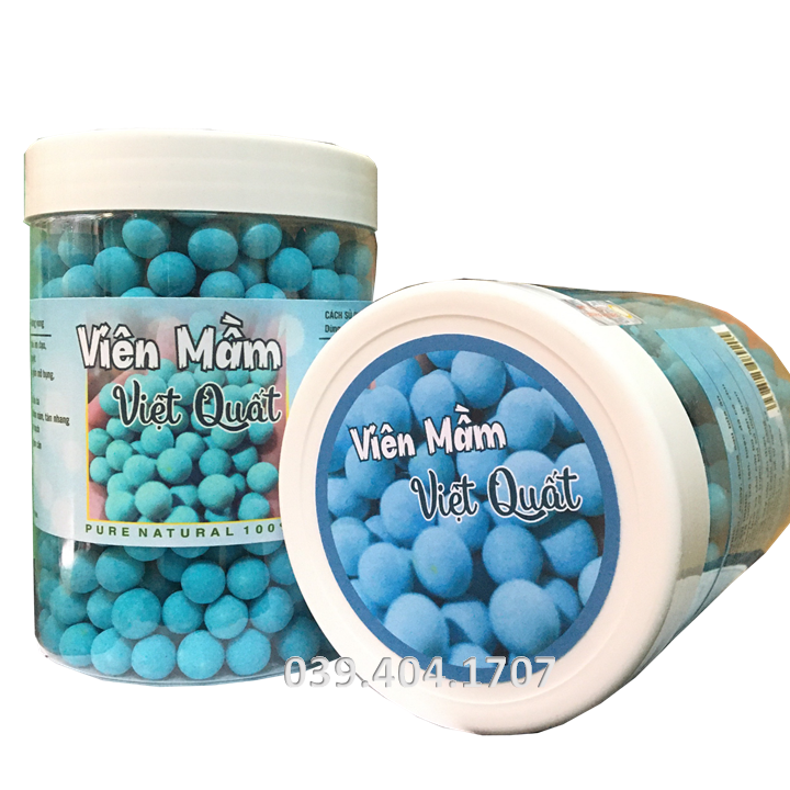 [HCM]2 HỘP VIÊN MẦM ĐẬU NÀNH VIỆT QUẤT TĂNG SIZE VÒNG 1 - viên mầm việt quất - Vien viet quat