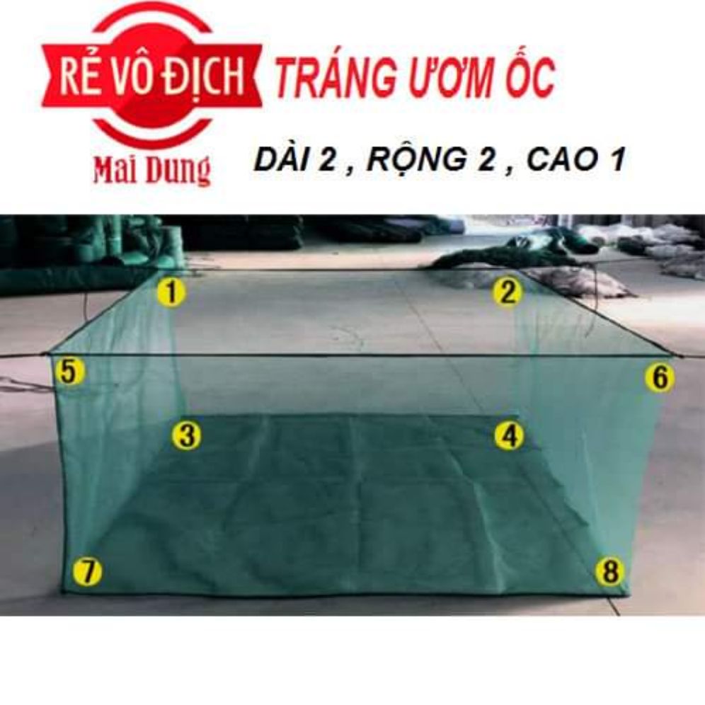 tráng ươm ốc nhồi mới nở đến hạt ngô loại 2x2x1
