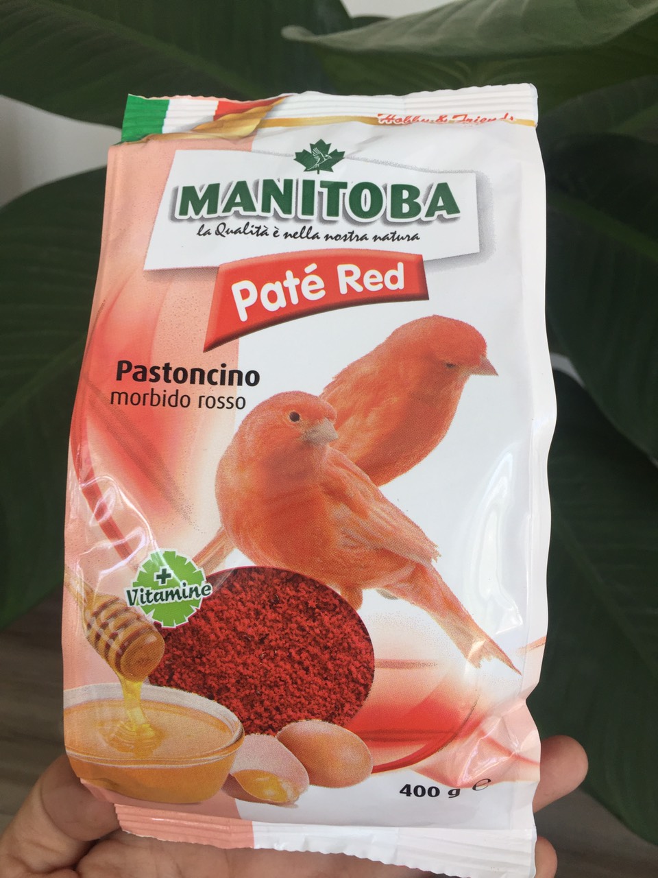 cám trứng pate red cho yến manitoba