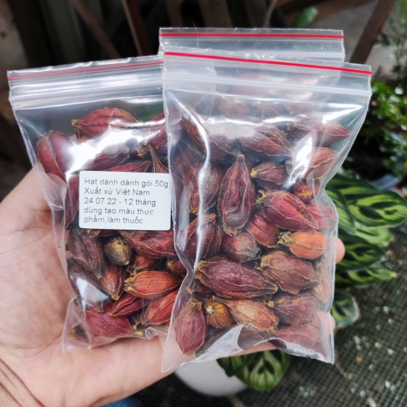 hạt dành dành (chi tử) 100g - tạo màu vàng cho món xôi, chè, bánh tét, rau câu