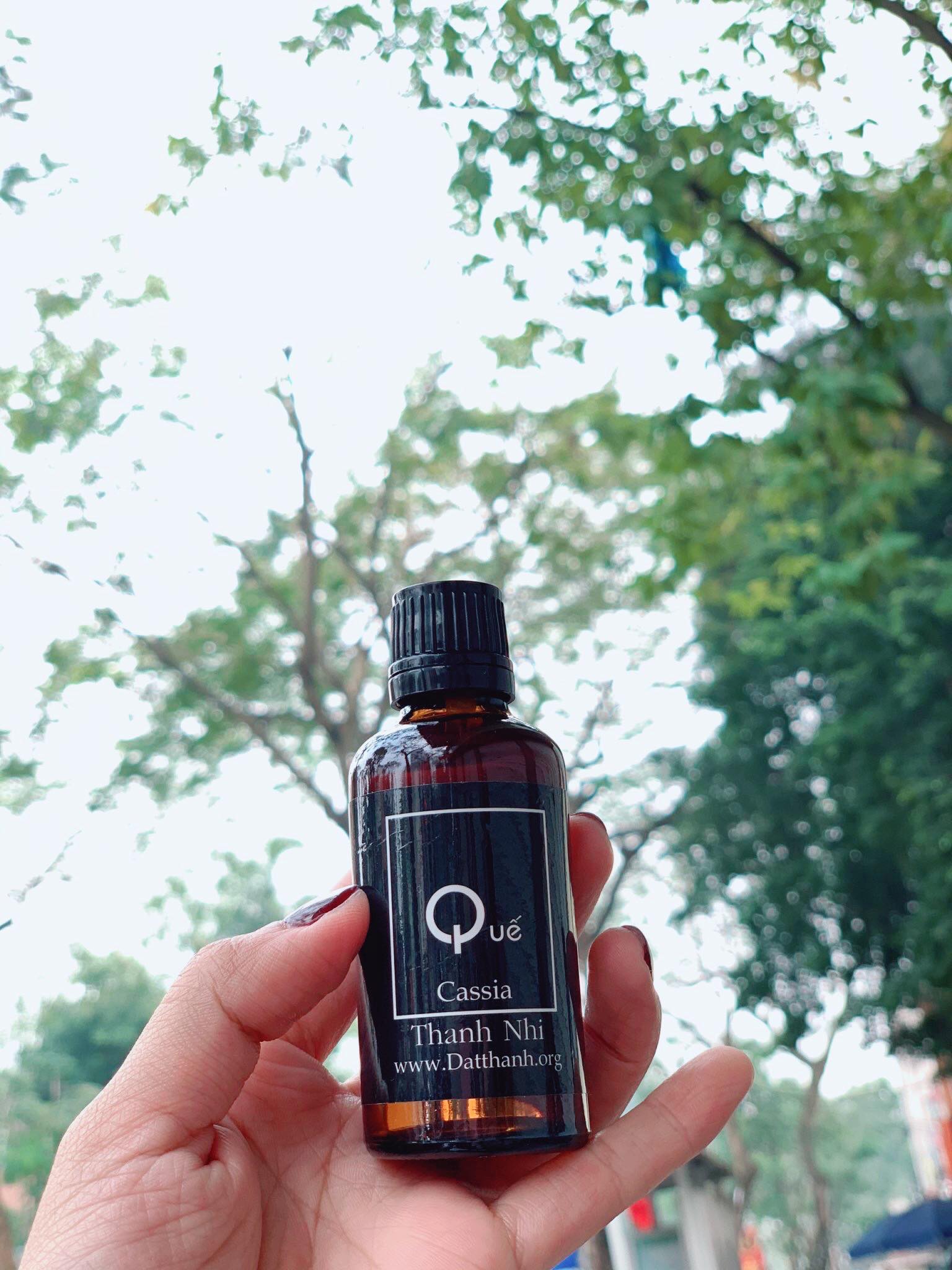 Lọ 50ml tinh dầu quế nguyên chất - có giấy kiểm định chất lượng