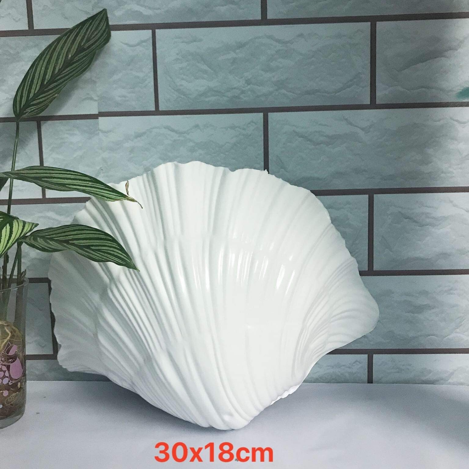 Chậu ốp tường hình vỏ sò