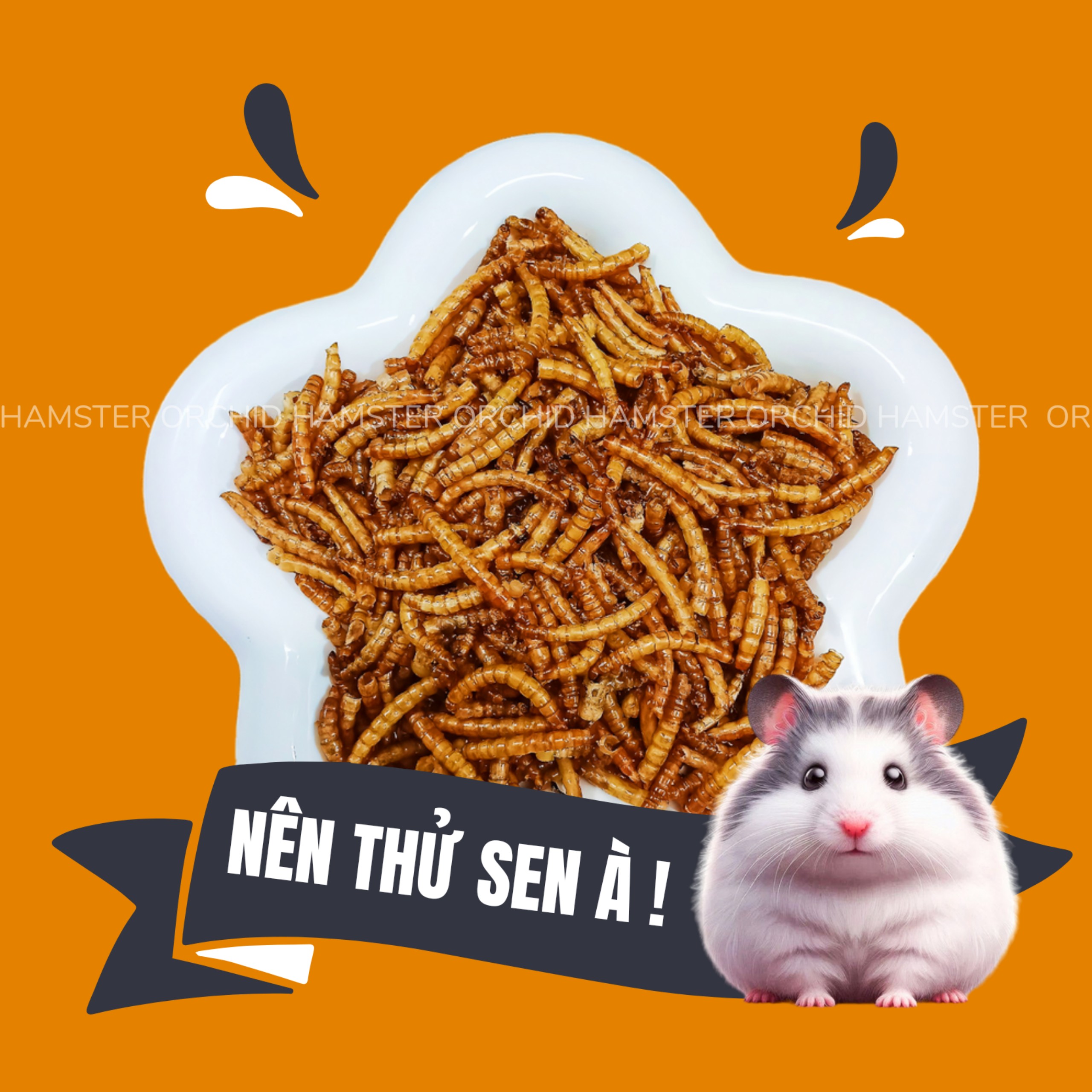 Sâu Sấy Dành Cho Hamster