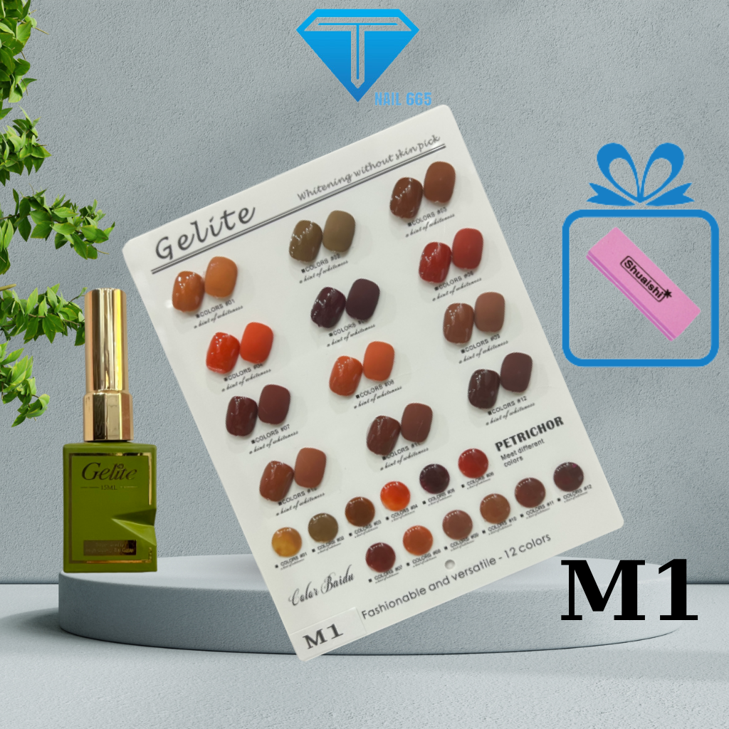 Sơn móng tay gel chính hãng , Sét sơn tay chân nail 12 chai tặng bảng màu