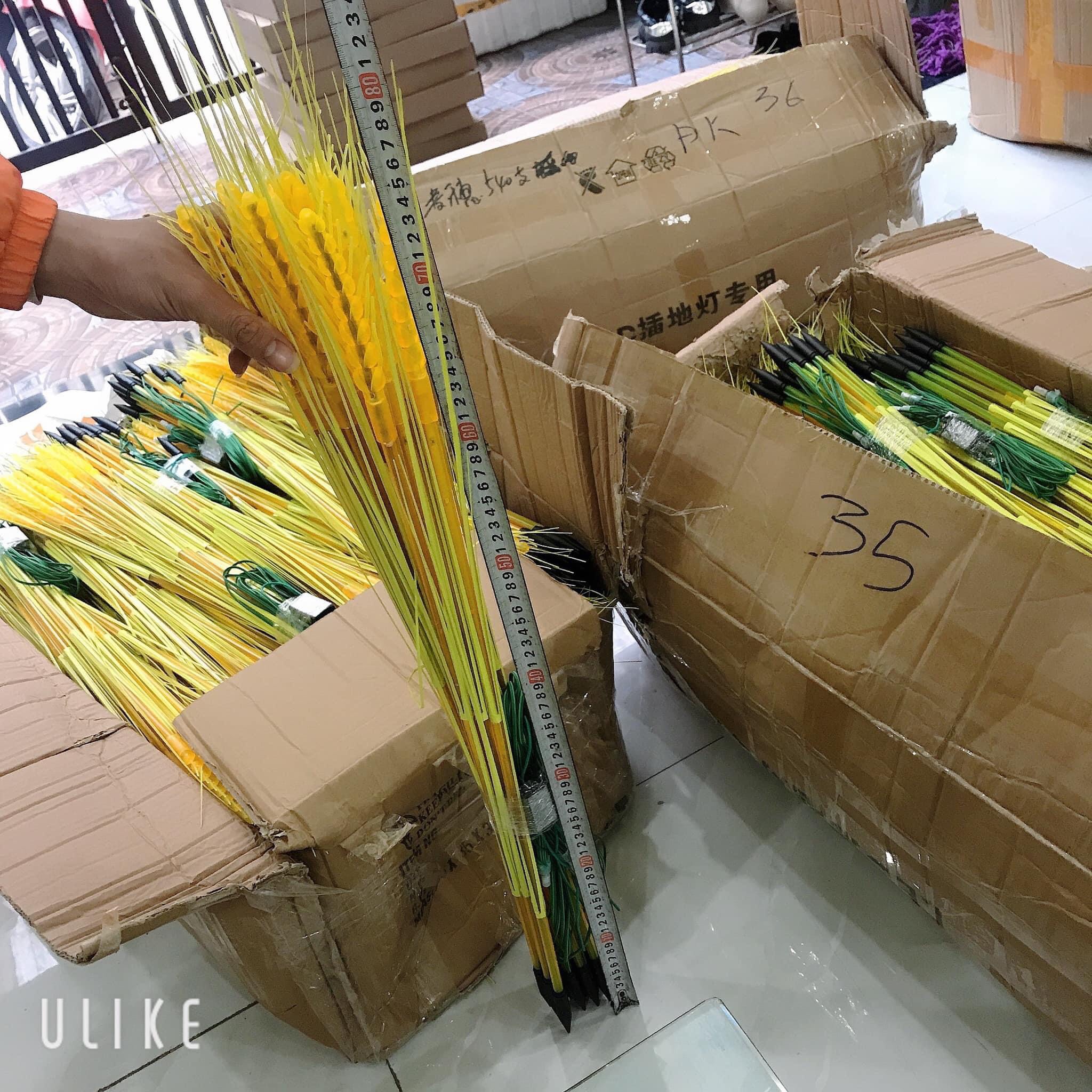 COMBO 10 Đèn Led Bông Lúa màu vàng trang trí phòng ngủ, phòng thờ