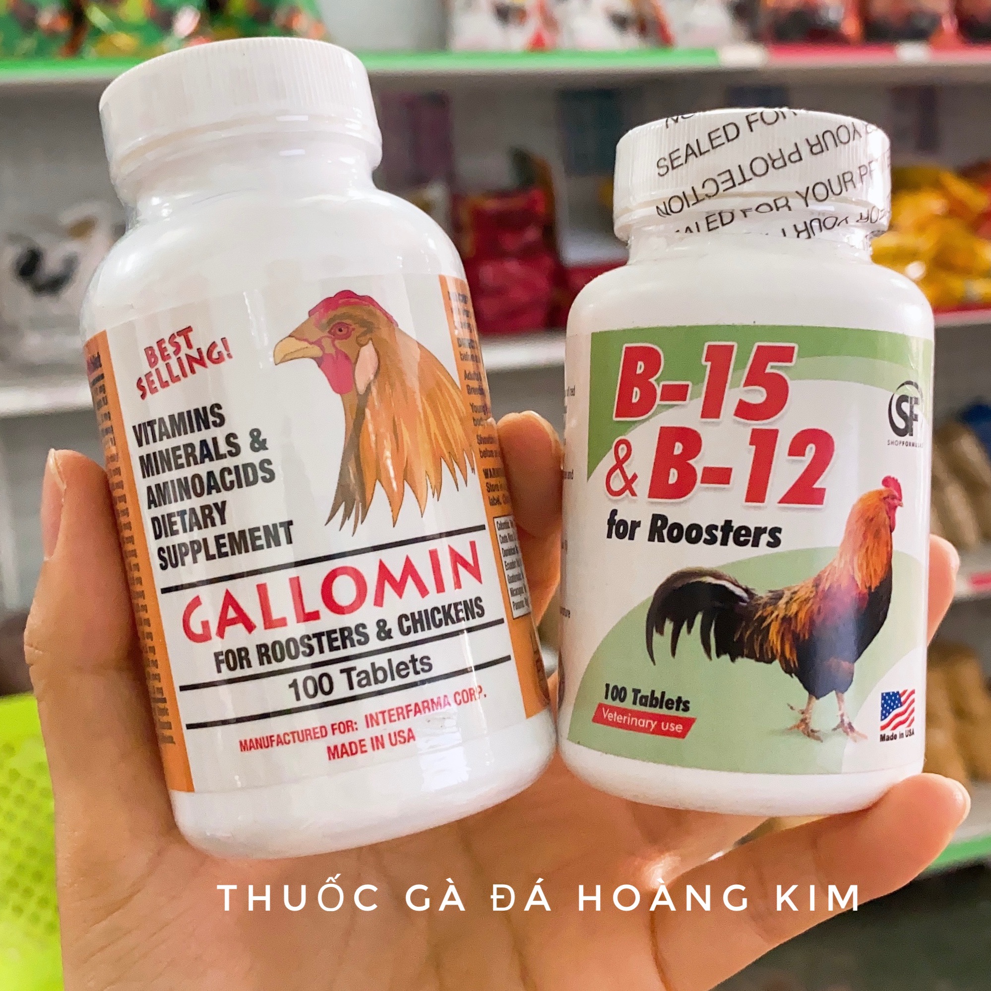 Combo gallomin + b15 & b12 sf cho gà chế độ đá