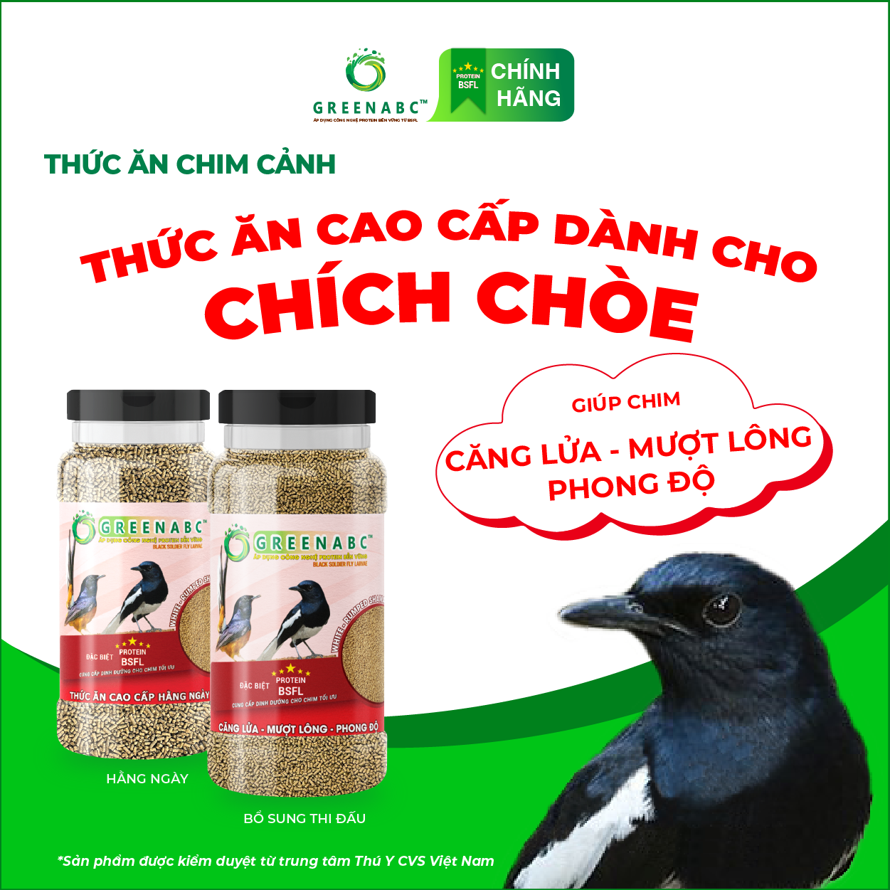 Cám Chim Chích Chòe GREENABC – Chim dưỡng dùng hằng ngày, cho chim căng lửa, phong độ dùng bổ sung – Hộp 280g