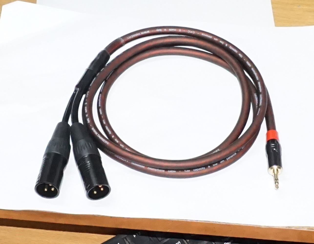 Dây 3.5 ra 2 canon đực 1.5m ( cắm từ điện thoại xuống mixer bàn ....)