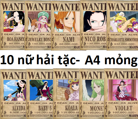 Bộ 10 tấm truy nã nữ hải tặc Onepiece wanted poster size A4 mỏng