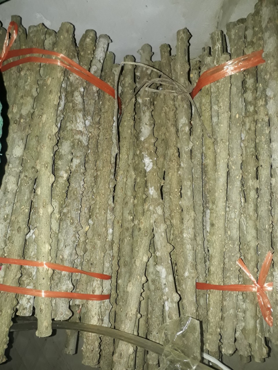 Combo 5 cầu gạo cho lồng mi, chòe,mào