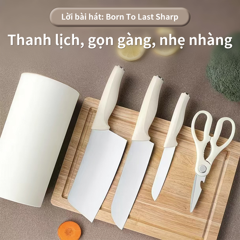 Bộ 5 dao bếp cao cấp bằng thép không gỉ, sắc bén lâu dài, công nghệ chống gỉ, kèm theo hộp đựng.