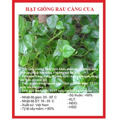 Hạt giống rau càng cua -gói 0,5 gram