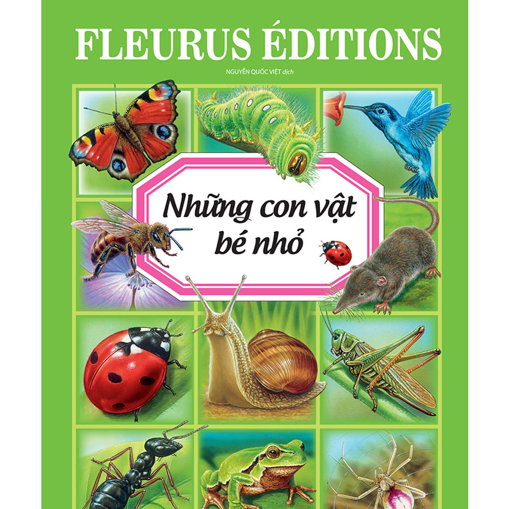 Những con vật bé nhỏ