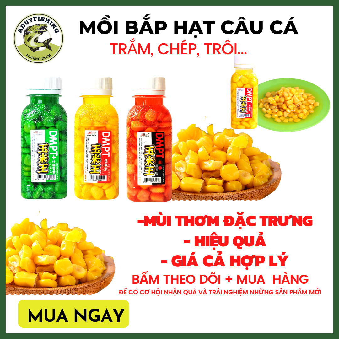 Mồi bắp hạt câu cá, mồi bắp vương câu cá trắm, cá chép , cá trôi , cá rô phi... Ngô Ngâm Câu Cá