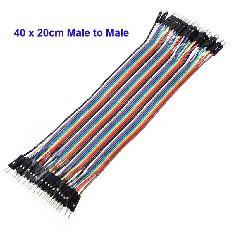 Dây bẹ đực-đực dài 20cm - th100