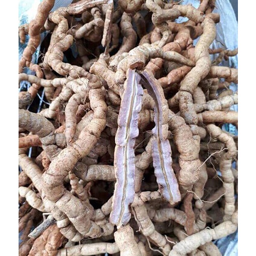 Ba kích tím Quảng Ninh