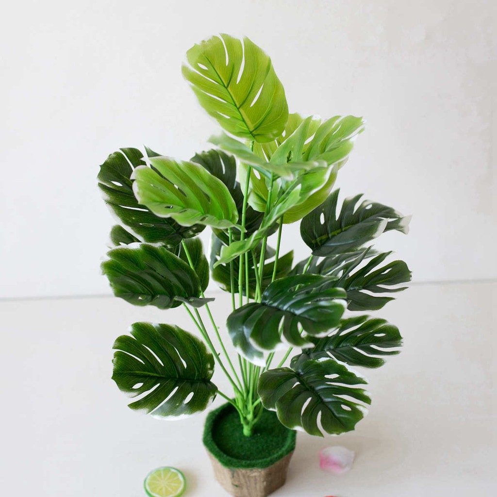 CÂY LÁ RÙA LỚN CÂY GIẢ 18 LÁ