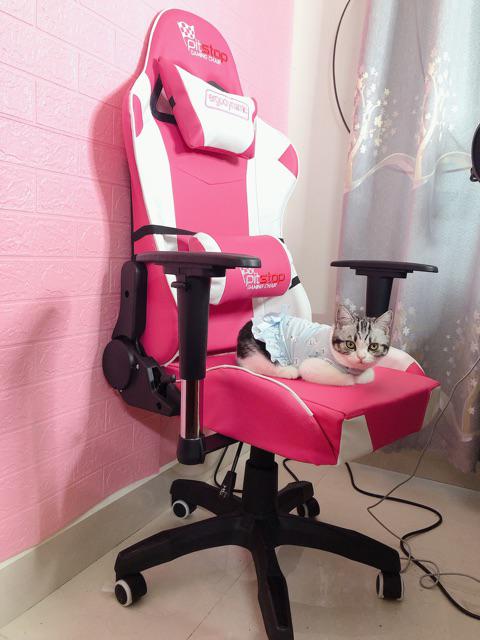 Ghế Gaming PITSTOP  MÀU HƯỜNG QUYẾN RŨ