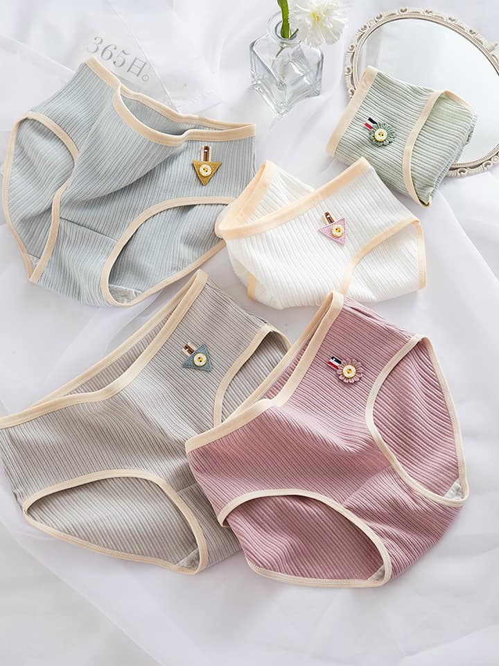 Set 5 quần chip mẫu 6